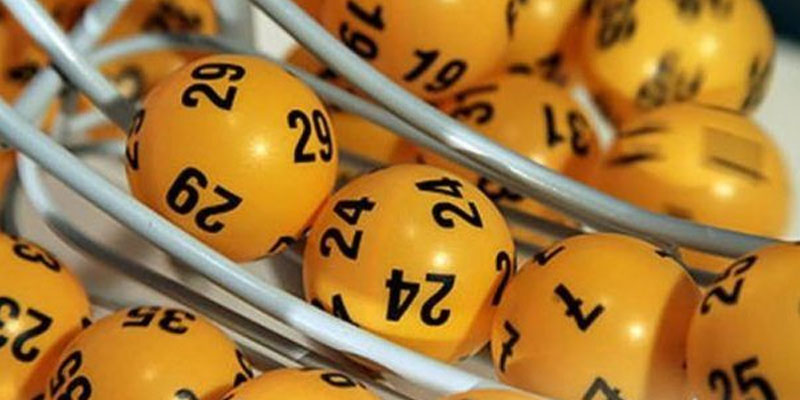 Dàn Đề Bất Tử: Bí Mật Hay Lời Nói Dối? 2 cac-loai-dan-de-bat-tu-pho-bien
